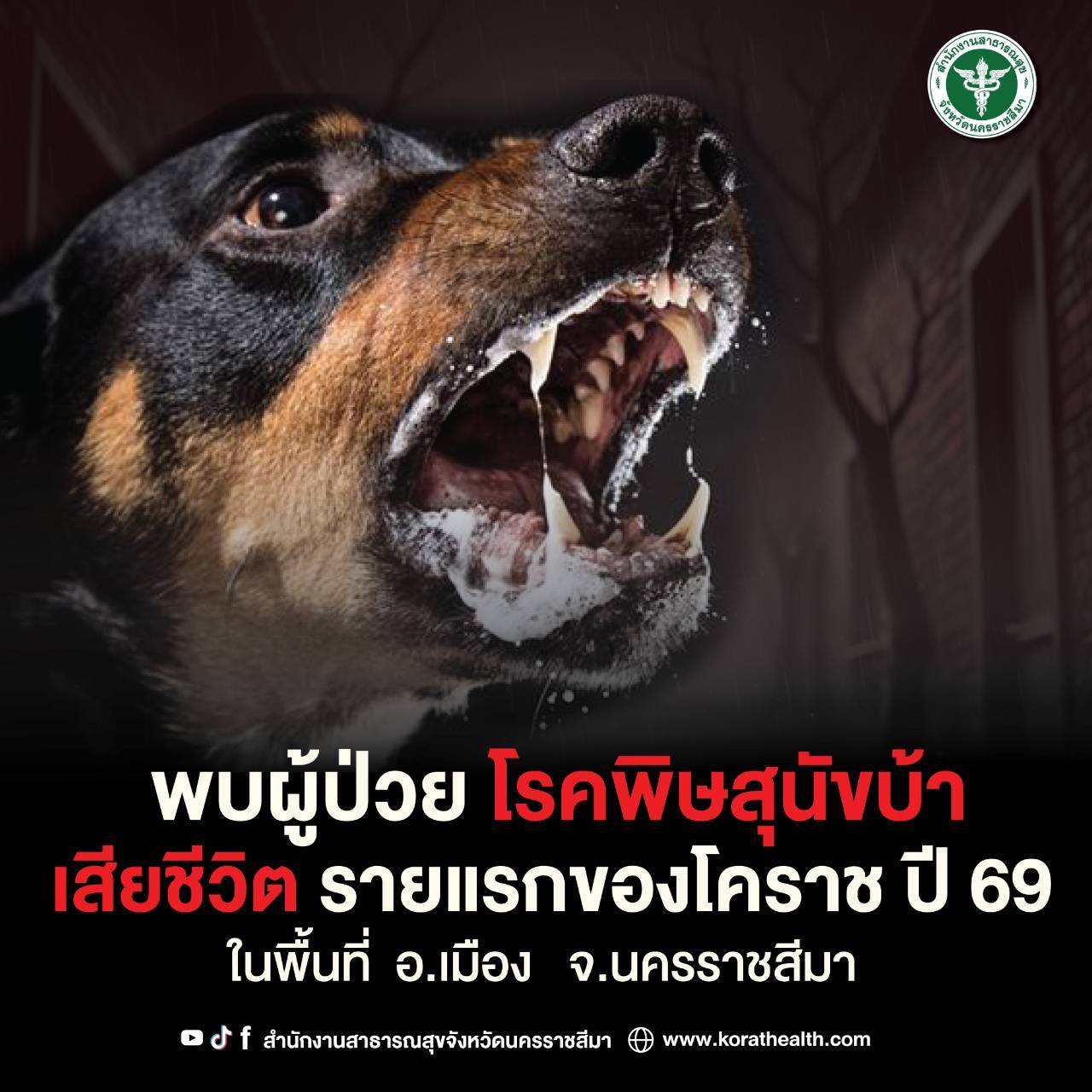พบผู้ป่วยโรคพิษสุนัขบ้าเสียชีวิตรายแรกของโคราช ปี69